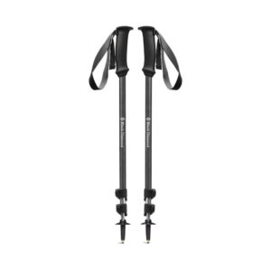 Vandrestave - Black Diamond Trail Explorer 3